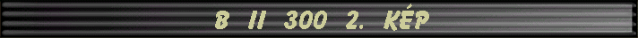 B II 300 2. k�p